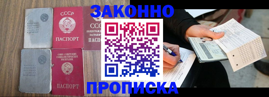 прописка для школы в Электростали